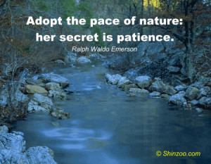 Adopt the pace of nature: her secret is patience.”