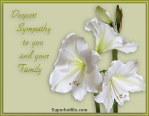 Superhotfile.com Image Comments