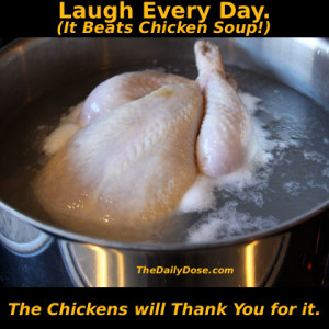 Funny Live Chicken Pictures Funny comic pic from oyvey.co.