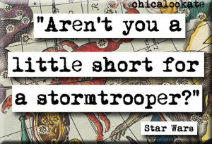 Star Wars Stormtrooper Quote Magnet or Pocket by chicalookate, $4.00