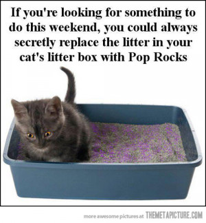 Funny Pics Funny Images Funny Quotes