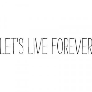 black and white, forever, love, quote, text, true, words