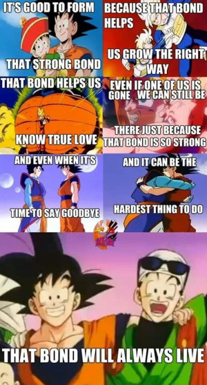What are some life events you learned from Dragon Ball Z