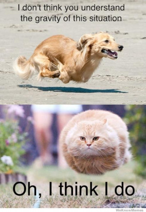 dont think you understand the gravity of this situation Oh, I think ...