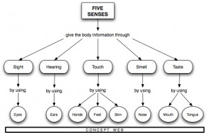 the Five Senses and the way the body gathers information through the ...