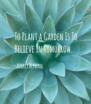 To plant a garden is to believe in tomorrow' - Audrey Hepburn.