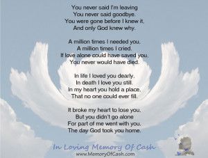 You never said I'm leaving You never said goodbye. You were gone ...