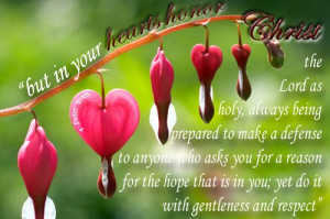 Peter 3:15. www.sunnyshell.org