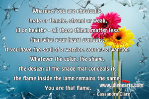 Soul Of A Warrior, You Are A Warrior.