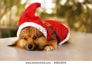 Explore Offset.com new Start Downloading Sign In