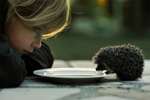 The Girl and the Hedgehog by Christopher Jobson on August 6, 2012