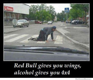 Red Bull Gives You Wings Alternatively Alcohol Gives You Something ...