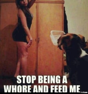 Funny Dog Whore Feed Me Joke Picture | Stop being a whore and feed me