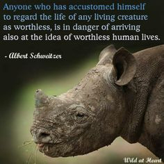 schweitzer quotes animal rights quotes boards animal cruelty famous ...
