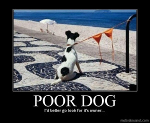 Funny Dog Poster