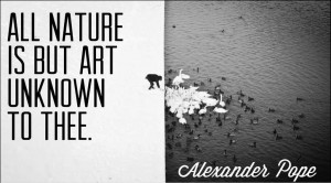 All Nature Is But Art Unknown To Thee Alexander Pope