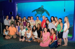 ... Disney’s website and make sure you check out Finding Nemo 3D in
