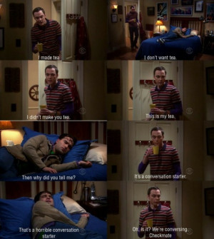 Big Bang Theory Captions