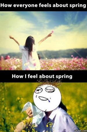 Funny-Spring.jpg