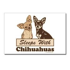 Sleeps With Chihuahuas Postcards (Package of 8) for