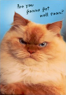 Get Well Soon Cute Cat Cat-card.png