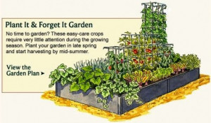 small gardens vegetables gardens vegetables layout layout design small ...