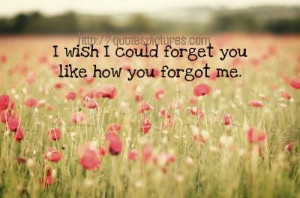 wish I could forget you like how you forgot me