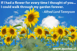 ... Thought of you,I Could walk through my garden forever ~ Flowers Quote