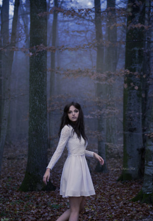 lost_in_the_woods_by_violetessa-d5sg4ye.jpg