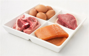 evidence that a high-protein diet – particularly if the proteins ...