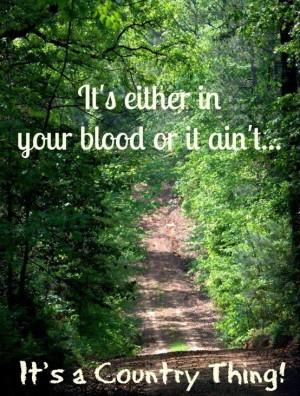 Dirt road. Love it. It's in your blood or not. Some of us seek it out ...