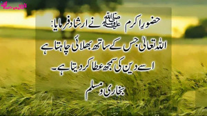 Islamic Dua, Hadees and Quotes in Urdu Pictures