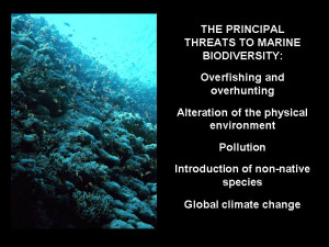 The threats facing coral reefs are broadly similar to the types of ...
