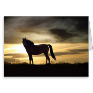 Horse Sympathy Cards And More
