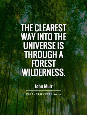 Nature Quotes Universe Quotes Forest Quotes John Muir Quotes