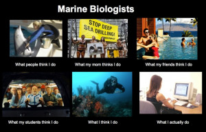 Title: Marine Biologists. Series of 6 photos with captions 