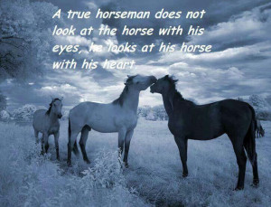 Pinned by Mahlea Foster