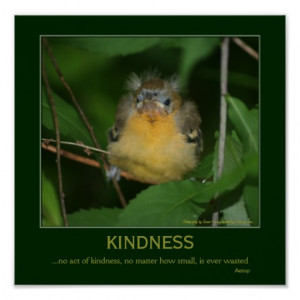 Kindness Baby Oriole Bird Motivational Quote Poster