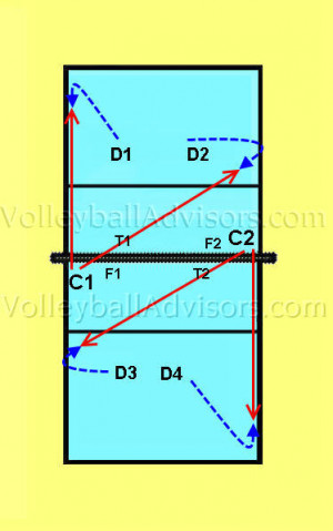 volleyball positions for kids