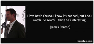 love David Caruso. I know it's not cool, but I do. I watch CSI: Miami ...