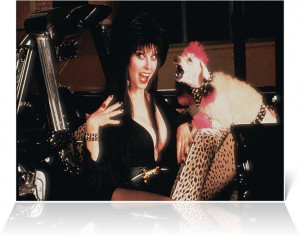 Elvira: Mistress of the Dark Film Trailer | MoviesNewTrailers.com