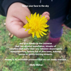 Appreciate Nature Quotes | Appreciate nature #stratejoyquotecontest # ...