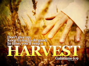 Galatians 6:9 – Do Good Papel de Parede Imagem