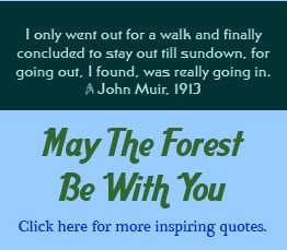 Positive Environmental Awareness quotes and related quotes about ...