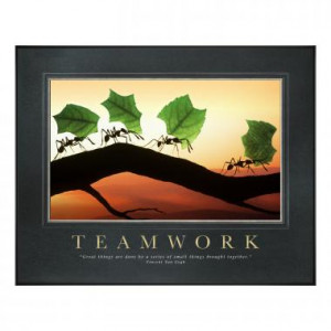 Teamwork Ants Motivational Poster