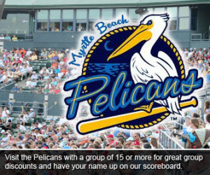 Minor League Baseball Teams