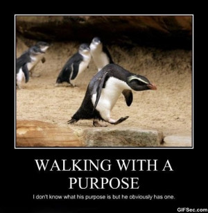 Funny-Pictures-Walking-with-a-purpose.jpg
