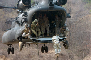 Special Forces fast-roping onto land ...