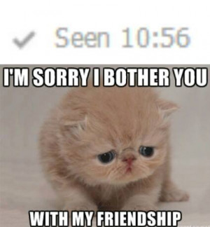 Sad Cat Is Sorry It Bothered You With It’s Friendship Meme