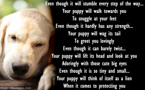 ... puppy poems puppy poems puppy poems puppy poems puppy poems puppy